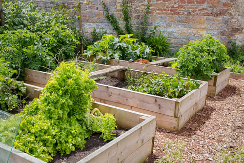 How to Bring your Garden to Life